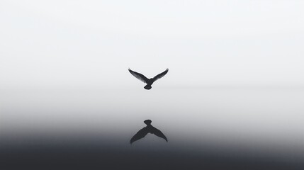Silhouette of a bird soaring above a tranquil water surface at dawn