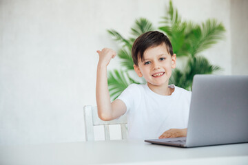 Boy studying playing on laptop online at desk in office