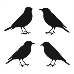 Bird Silhouette icon set.