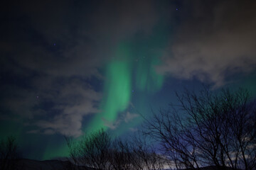 The green lights of the aurora dancing across the sky of Tromso in Norway