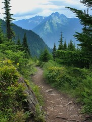 Fototapeta premium Scenic hiking trail adventure in nature mountain landscape viewpoint