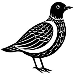 bird on a white background