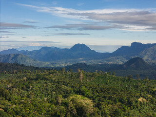Green valley landscape with mountain background