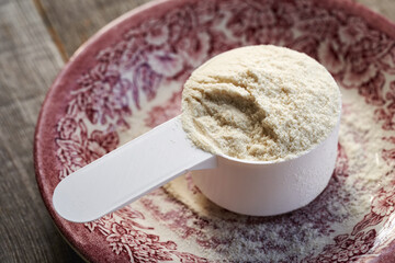 Whey protein powder in a plastic measuring scoop