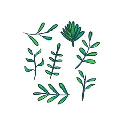 Isolated seamless floral pattern on white background, hand drawn painted pack set of flowers wallpaper, wall, paper, spring, summer, nature, flower, flowers, wrap