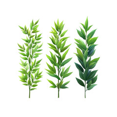 Fototapeta premium Three green plant branches with vibrant leaves, showcasing different shapes and sizes, perfect for adding natural touch to any design