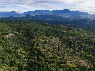 Fototapeta premium Penas Blancas mountain in Nicaragua