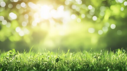 Obraz premium Vibrant Spring Theme Nature Cinematic Wallpaper with Lush Greenery and Blossoming Flowers