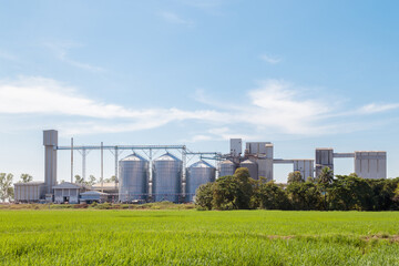 agriculture rice grain storage silos and food production factory on a green rice field with blue...