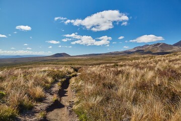 Volcanic Landscape hiking trail Tongariro, New Zealand