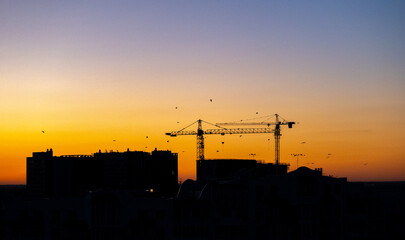Silhouettes of construction cranes and buildings against a colorful sunset sky with flying birds. Urban development and evening scenery concept