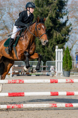Beautiful young rider on her mare with her protective vest during a show jumping competition