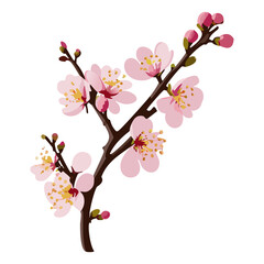 Blooming Sakura Branch with Pink Flowers and Buds – Spring Floral Art Vector