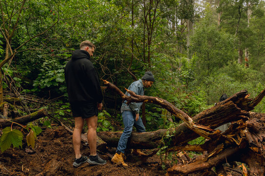 Two men exploring a forest while navigating fallen logs in nature