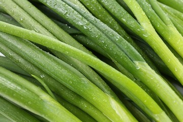 Many fresh green onions as background, closeup