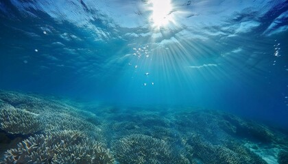 Radiant Sunlight Filtering Through Clear Ocean Water Above a Peaceful Seabed