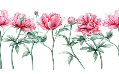 Watercolor seamless banner with pink peony flowers branches in full bloom. Hand drawn illustration frame beautiful floral flowers daisy. Seamless pattern with summer botanical plant. For invitations