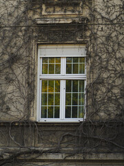 old window in the old house
