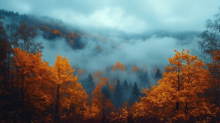 Fototapeta premium Moody Autumn atmospheric fall colors and settings