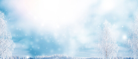 Landscape. Frozen winter forest with snow covered trees.