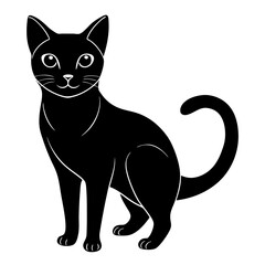 Cat vector illustration