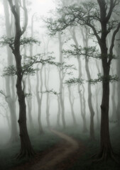 Obraz premium lovely little hiking trail in the forest on a misty morning