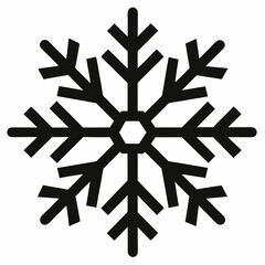 Snowflake icon black silhouette vector illustration white background