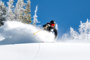Woman skiing powder