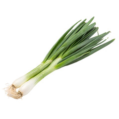 Fresh Green Onions with Roots isolated on transparent background cutout, Png, Cutout