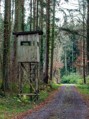 Hoch und Jägersitz am Waldrand