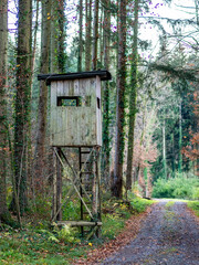 Hoch und Jägersitz am Waldrand
