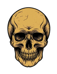 Fototapeta premium skull