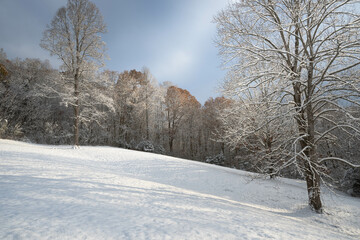 Fototapeta premium Snowy winter day in East Tennessee. Blue skys and fresh fallen snow on the trees and hillside.