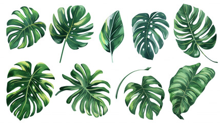 A set of green leaves with some of them being larger than others