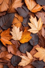 Fototapeta premium Colorful autumn leaves create a vibrant carpet of orange, yellow, and brown in a natural setting during the fall season