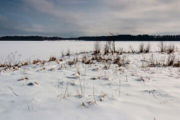 Winter Landscape with lake in snow, trees and dry grass