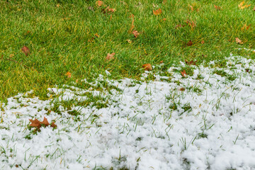 Snow on the green grass of the lawn. Change of seasons