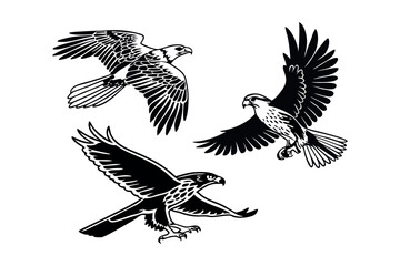 majestic birds of prey in flight: detailed vector illustrations. eps 10