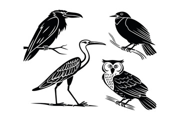 vector art of different birds including a hummingbird, crow, heron, and owl