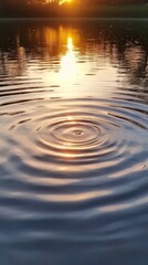 Water ripples under Sunset Glow: Capturing the gentle dance of water, with concentric circles rippling outward, reflecting the warm golden glow of the sunset.