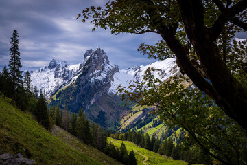 alpine landscape with meadow and peaks in alpstein switzerland during autumn