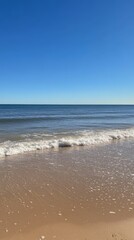 Tranquil Beachscape: Serene view of a sandy beach meeting a calm ocean under a brilliant blue sky. Perfect for relaxation and summer vibes.