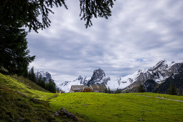 swiss mountains in the mountains of alpstein with meadow and alpine hut