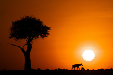 The morning colors of Africa