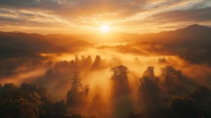 Obraz premium Breathtaking Sunrise Over Misty Landscape with Soft Light Illuminating Trees and Rolling Hills in a Serene Natural Environment