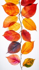 Obraz premium Autumnal Symphony: A vibrant cascade of leaves in hues of crimson, gold, and amber dances down a branch, showcasing the beauty of fall's transformation. 