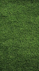 Obraz premium Green Grass Texture: Lush, vibrant green grass texture, perfect for backgrounds, overlays, or creating a natural feel in your designs. 