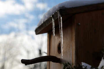 Vogelhaus im Winter mit Eiszapfen