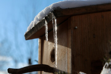 Vogelhaus im Winter mit Eiszapfen
