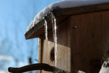 Vogelhaus im Winter mit Eiszapfen